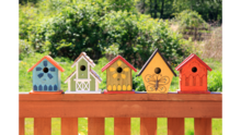 Birdhouses lined up on the railing of a porch