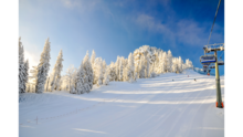 Hill and tress covered in snow